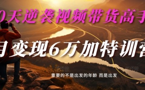 30天快速進階視頻直播帶貨專家：單月營收6萬+特訓計劃 - 麥子甜