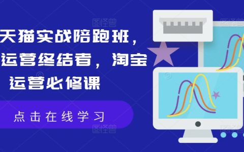 天貓淘寶實操輔導班：店鋪高效運營攻略，運營瓶頸突破課程，電商運營核心教程