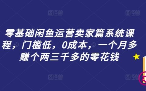 零基礎入門閑魚賣家運營全攻略，低門檻、無成本，輕松月入兩三千零花錢