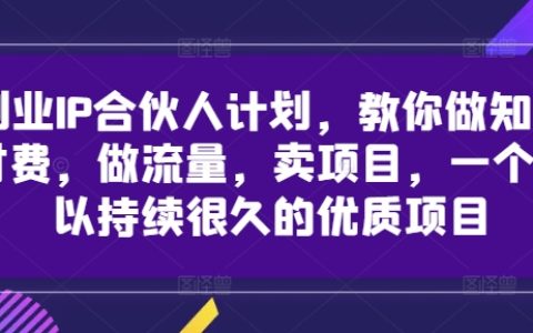 揭秘創業IP合作共贏模式：掌握知識變現、流量運營、項目銷售技巧，打造持久盈利的優質項目實戰指南