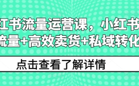 小紅書流量運營全攻略：搞流量、賣貨與私域轉化高效實操課