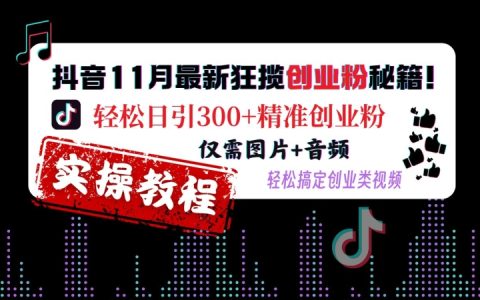 11月最新抖音引流技巧：輕松日增300+精準創業粉絲，僅需圖片與音頻打造爆款視頻