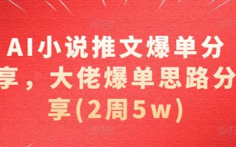 AI小說營銷攻略揭秘，行業大佬爆單秘訣大公開（兩周實現5萬收益）