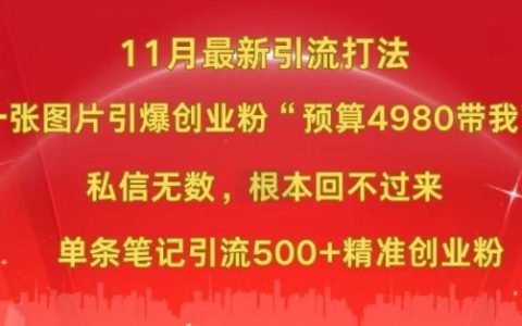 11月最新圖片推廣技巧：一張圖引爆創業粉絲增長，“預算4980高效營銷”，單條內容吸引500+精準創業粉絲