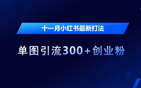 高效利用小紅書平臺，十一月單圖引流300+精準創(chuàng)業(yè)粉絲技巧分享