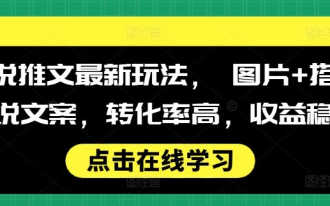 高效小說推廣策略：圖文結合文案技巧，實現高轉化率與持續收益