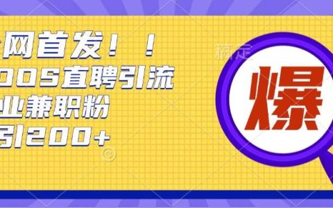 利用Boss直聘平臺，每日輕松吸引200+創業者的方法揭秘【高效引流】