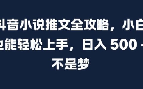 抖音小說推文全攻略，小白輕松上手，每日增加500+粉絲不是夢【深度解析】