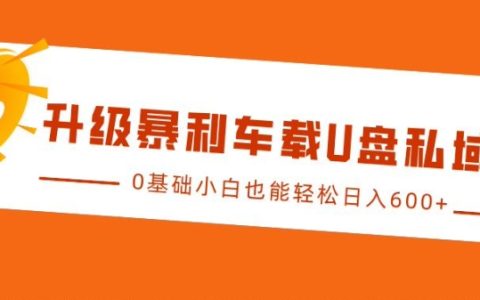 提升車載U盤銷售技巧，0基礎小白也能輕松實現日入多單【揭秘私域流量玩法】