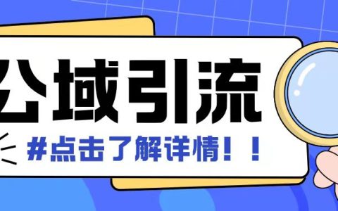 高效全網引流策略：日增500+創業粉絲，輕松實現矩陣化運營