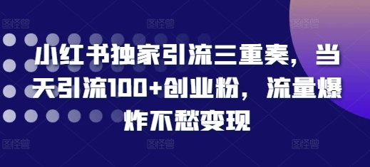 小紅書獨家引流三重奏，當天引流100+創業粉，流量爆炸不愁變現【揭秘】