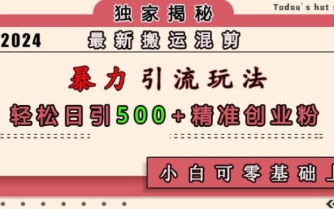 高效搬運混剪技巧，日增500精準創業粉絲，小白輕松上手