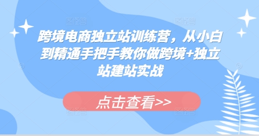 跨境電商獨立站訓練營，從小白到精通手把手教你做跨境+獨立站建站實戰