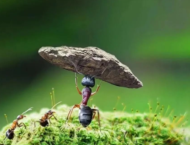 2024年最值得嘗試的10個(gè)網(wǎng)絡(luò)賺錢方法