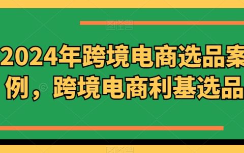 2024年跨境電商精選案例分析：如何選擇高潛力利基市場產品（更新至11月）