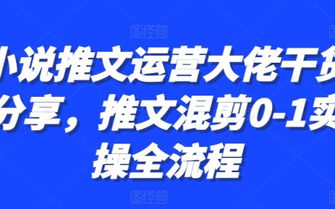 小說推文運營專家實戰分享：從零到一的混剪操作全流程指南