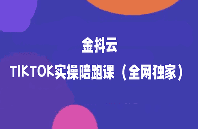 金抖云-TIKTOK實操陪跑課（全網(wǎng)獨家）【15節(jié)】
