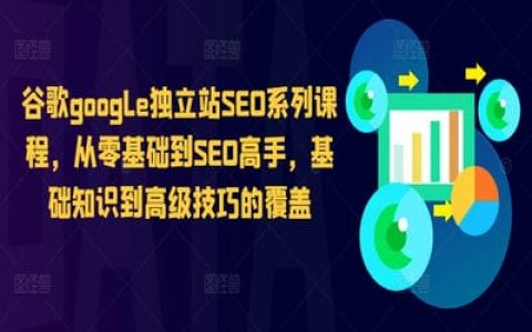 谷歌google獨(dú)立站SEO系列課程，從零基礎(chǔ)到SEO高手，基礎(chǔ)知識到高級技巧的覆蓋【11章62節(jié)課】