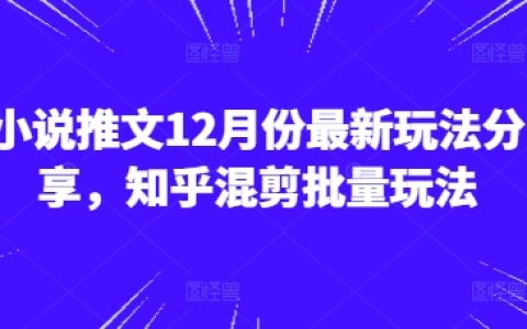 12月最新小說推廣技巧分享，知乎混剪批量操作玩法揭秘