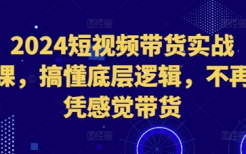 2024短視頻帶貨實(shí)戰(zhàn)教程：洞察核心原理，告別盲目銷售技巧