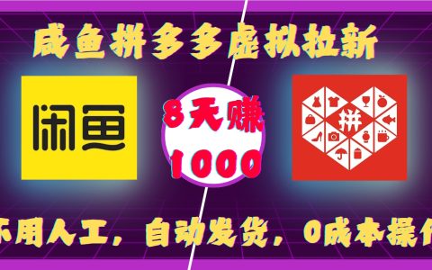 拼多多虛擬商品拉新推廣：自動發貨0成本操作，8天實現千元收益【詳細指南】