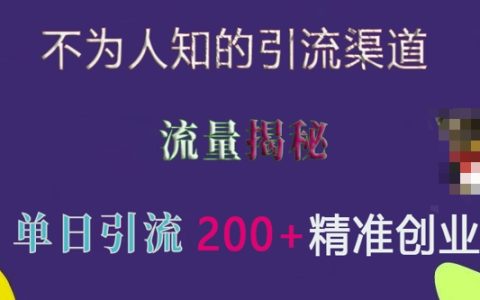 如何利用不為人知的引流渠道實現單日獲取200+精準流量？實戰分享與技巧揭秘