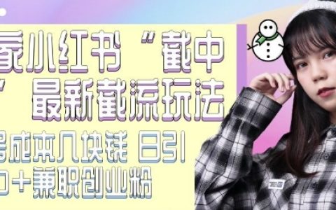 揭秘最新小紅書截流技巧：低成本操作日增500+精準創業粉，獨家截流方法分享