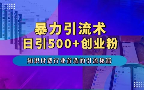 高效引流技巧：專業(yè)領域付費課程推廣秘籍，每日吸引超500創(chuàng)業(yè)者，多設備流量不斷