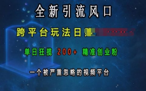 揭秘跨平臺(tái)引流新風(fēng)口：日收入超千，單日吸引200+精準(zhǔn)創(chuàng)業(yè)粉絲，一個(gè)被嚴(yán)重忽視的視頻平臺(tái)的崛起