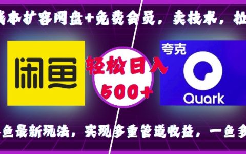 0成本擴(kuò)展云存儲(chǔ)空間+免費(fèi)會(huì)員計(jì)劃，技術(shù)變現(xiàn)與用戶拉新策略，咸魚平臺(tái)最新操作指南，實(shí)現(xiàn)多渠道收入，一魚多吃，輕松日入500+