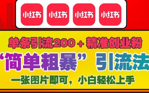 年底小紅書高效引流技巧：單條內容吸引200+精準創業粉絲方法分享