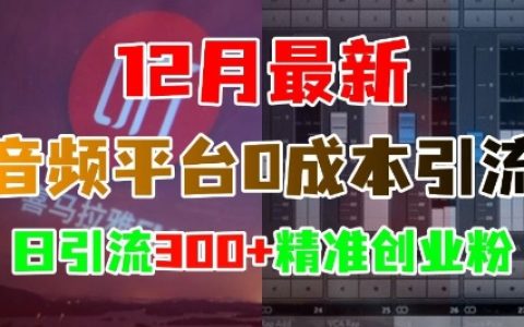 12月更新：音頻平臺無成本引流技巧，每日吸引300+精準創(chuàng)業(yè)粉絲