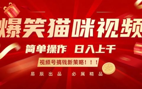 搞笑貓咪視頻賺大錢：輕松操作，日入千元，視頻號賺錢新方法【揭秘】