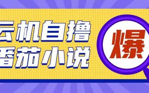 全新云手機自運營小說模式，10元投入實現200元以上回報，操作簡便【揭秘】