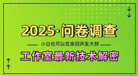 2025問(wèn)卷調(diào)查最新工作室技術(shù)解密:一個(gè)人在家也可以悶聲發(fā)大財(cái),小白一天2張,可矩陣放大【揭秘】