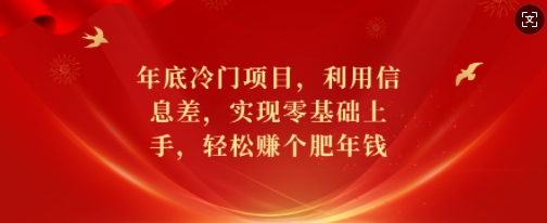 年底冷門項目，利用信息差，實現零基礎上手，輕松賺個肥年錢【揭秘】