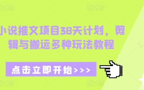 38天打造小說推文高手：全面解析剪輯與搬運多種玩法教程