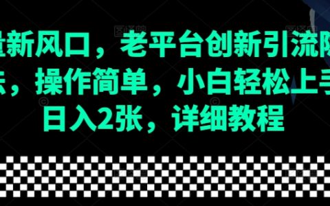 流量新趨勢：老平臺創新引流技巧全解，操作簡便，小白輕松入門，日賺兩百全攻略