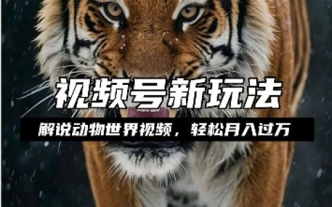 揭秘如何通過動物世界解說視頻賺取分成收益，輕松實現月入過萬，簡單易操作