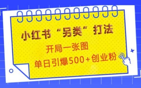 小紅書獨特運營技巧，首圖即吸睛，單日吸引500+精準創業粉絲【實戰分享】