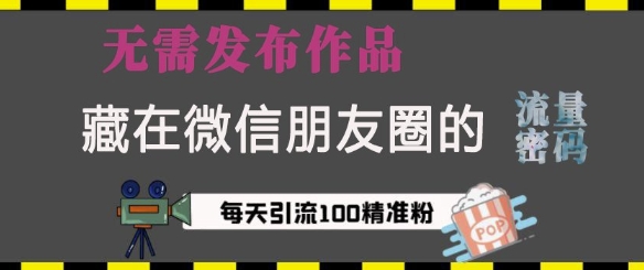 藏在微信朋友圈的流量密碼,無需發布作品,單日引流100+精準創業粉【揭秘】