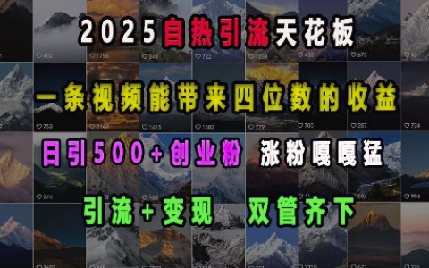 2025年自熱引流新高度，視頻實現四位數收益，引流與變現并行，每日吸引500+創業者，粉絲暴漲攻略【全面解析】