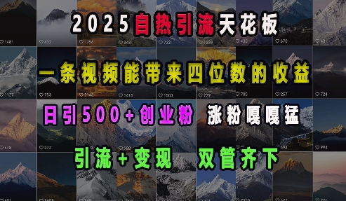 2025自熱引流天花板,一條視頻能帶來四位數(shù)的收益,引流+變現(xiàn)雙管齊下,日引500+創(chuàng)業(yè)粉,漲粉嘎嘎猛