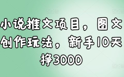 10天新手入門指南：小說推文項目圖文創作玩法，輕松實現3000元收益（附實戰技巧）