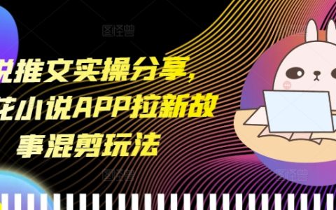 小說推廣技巧分享，蛋花小說APP拉新策略故事混剪玩法【實(shí)戰(zhàn)指南】