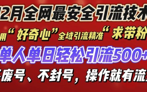 12月全網最安全引流創業技巧曝光，確保不封號不廢號，實操即現流量秘籍【揭秘】