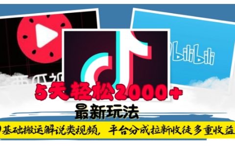 零基礎(chǔ)教程：借助工具搬運解說視頻實現(xiàn)平臺收益與拉新雙豐收，五天內(nèi)輕松賺取2000元【揭秘】