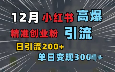 小紅書圖片引流秘籍，“引爆”單日增加200+精準創業粉絲，可篩選付費意識創業者（獨家揭秘）