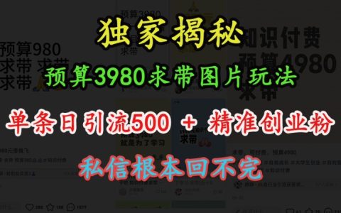 3980元全套教程：圖片引流玩法，實(shí)現(xiàn)日增500+精準(zhǔn)創(chuàng)業(yè)粉絲，私信暴漲應(yīng)對(duì)方案