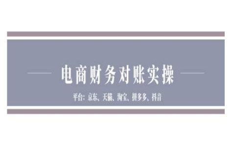 電商財(cái)務(wù)管理實(shí)戰(zhàn)教程：京東、天貓、淘寶、拼多多及抖音平臺(tái)財(cái)務(wù)對賬指南